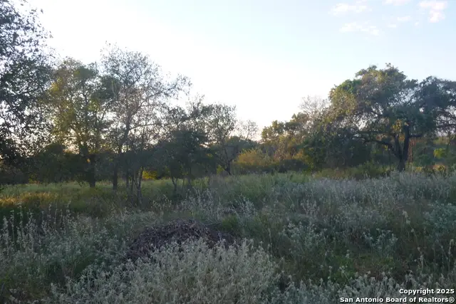 00 TRUMBO RD Trumbo, San Antonio, TX 78264 - Image #3