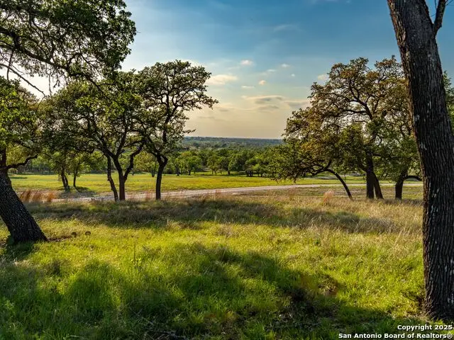 862 Grape Creek Road, Fredericksburg, TX 78624 - Image #3
