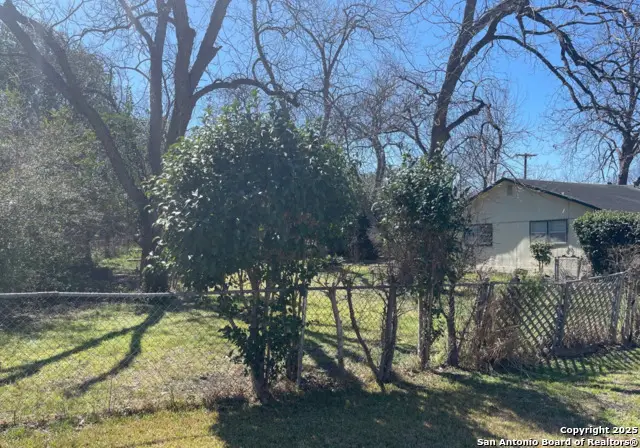 220 S Live Oak, New Braunfels, TX 78130 - Image #3