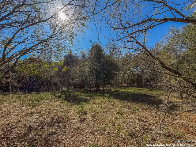 000 TRACT 3 & 5 Fm 539, La Vernia, TX 78121 - Image #1