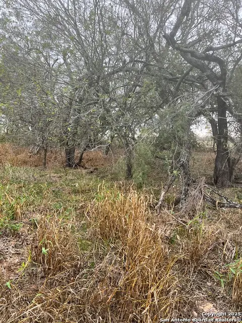 899 Fm 1346, La Vernia, TX 78121 - Image #2