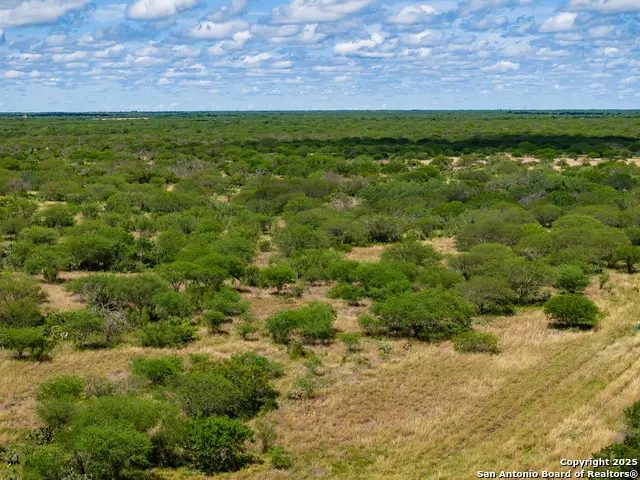 TBD County Road 119, Alice, TX 78332 - Image #1