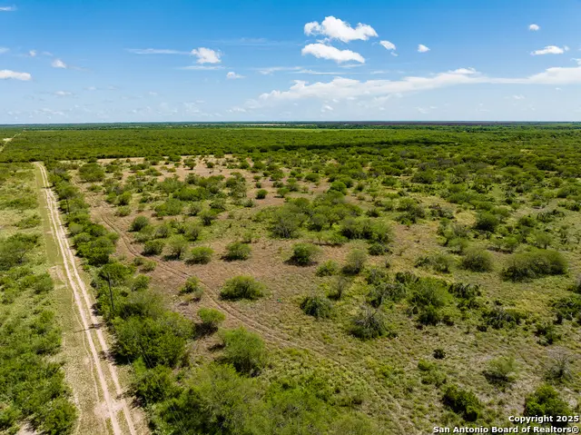 TBD County Road 119, Alice, TX 78332 - Image #3