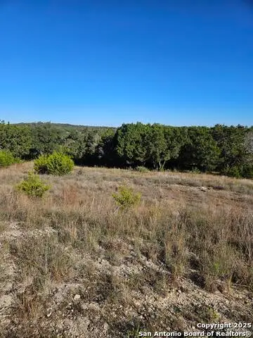 2385 Comal Spgs, Canyon Lake, TX 78133 - Image #3