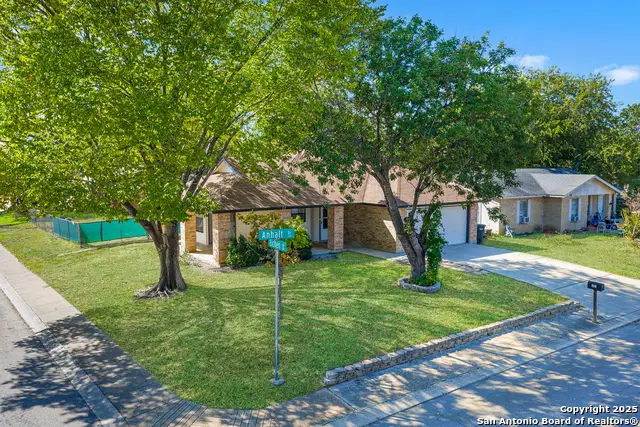201 Anhalt, New Braunfels, TX 78130 - Image #2