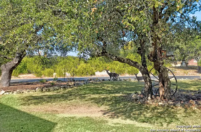 518 Oracle, San Antonio, TX 78260 - Image #3