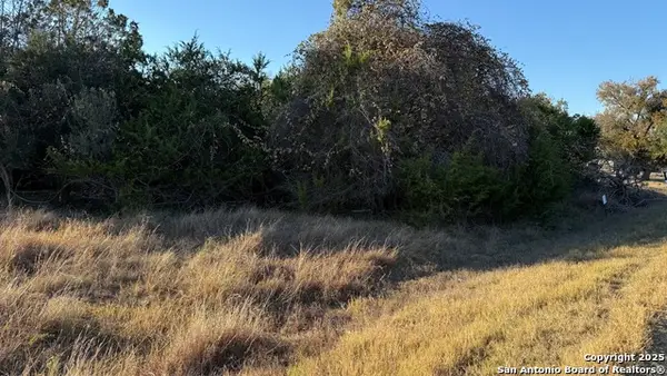 737 Long Meadows, Spring Branch, TX 78070