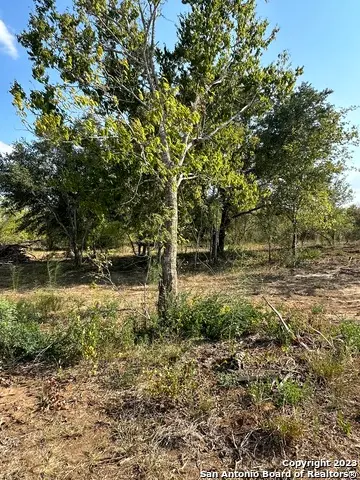 5894 Fm 1107 Unit B-tract 1, Stockdale, TX 78160