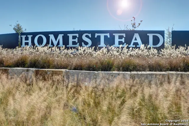 4789 Terrel Point, Schertz, TX 78108 - Image #3