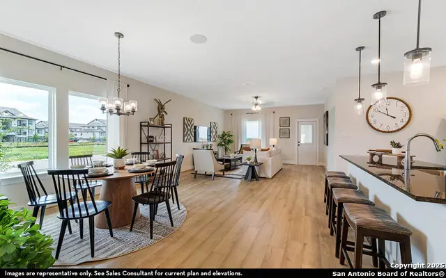 925 Gray Cloud Drive, New Braunfels, TX 78130 - Image #3