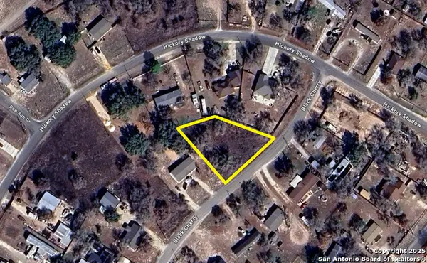 22711 Black Cherry, Elmendorf, TX 78112