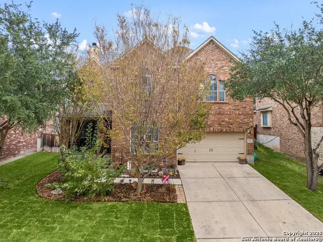 23414 Treemont Park, San Antonio, TX 78261 - Image #3