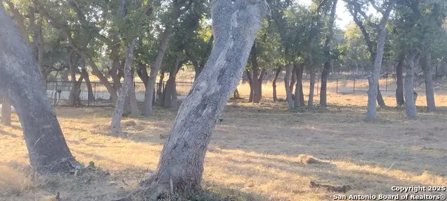 954 Maximino Ridge, Bulverde, TX 78163 - Image #2