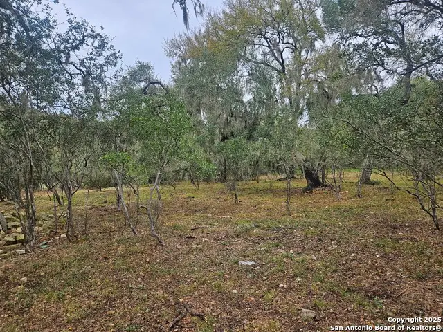 481 River Chase Way, New Braunfels, TX 78132 - Image #1