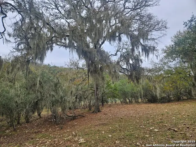 481 River Chase Way, New Braunfels, TX 78132 - Image #3