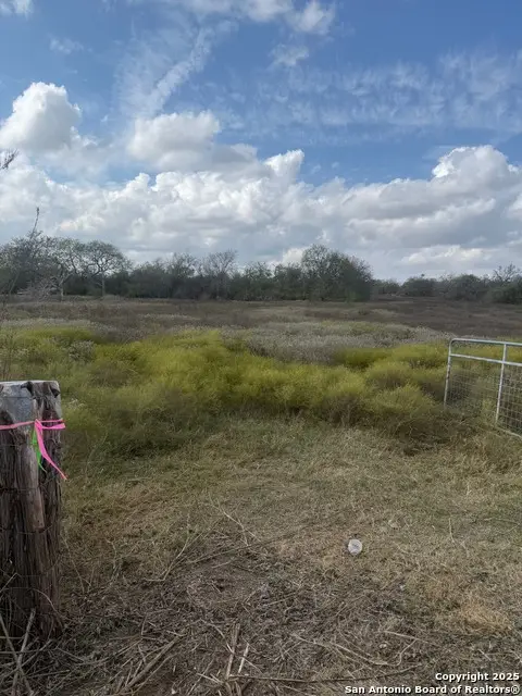 00 Simpson Ranch Rd, Runge, TX 78151 - Image #2
