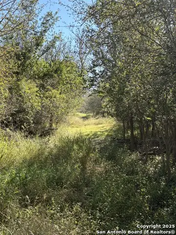 0 Iuka, Poteet, TX 78065 - Image #2