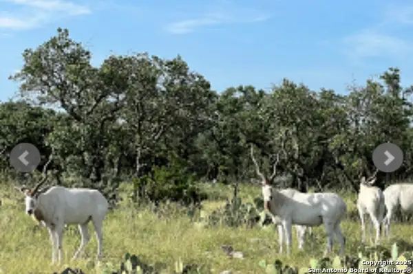 14410 Us Highway 190, Fort McKavett, TX 76841