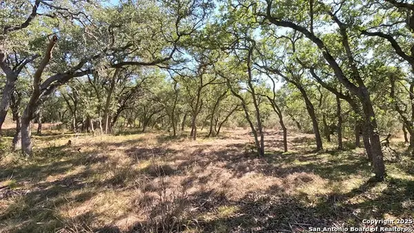 34672 Ansley Ridge, Bulverde, TX 78163