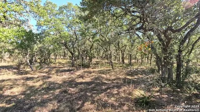 34672 Ansley Ridge, Bulverde, TX 78163 - Image #3