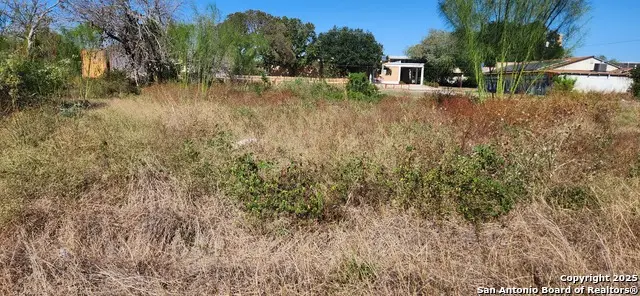 731 Sterling, San Antonio, TX 78220 - Image #3