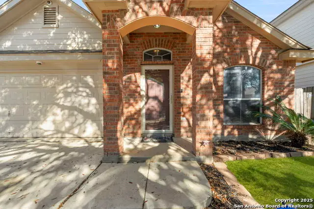 7435 Draco Leap, San Antonio, TX 78252 - Image #2