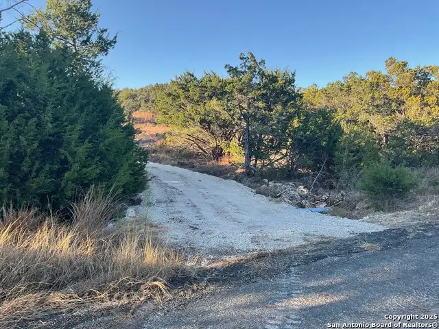 113 Champion Way, Spring Branch, TX 78070 - Image #2