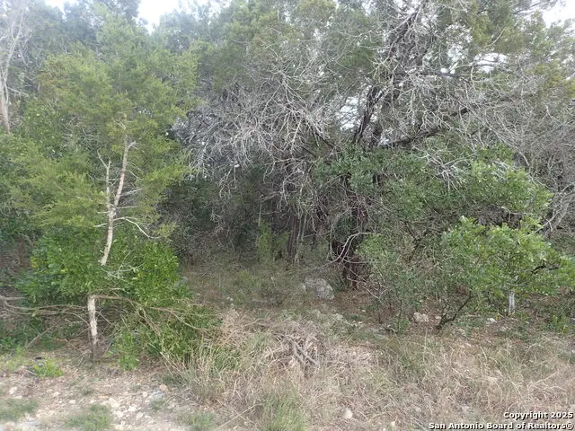 1-2 Circle, Lakehills, TX 78063 - Image #3