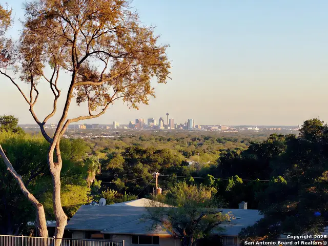 203 Lakeridge, San Antonio, TX 78229 - Image #3