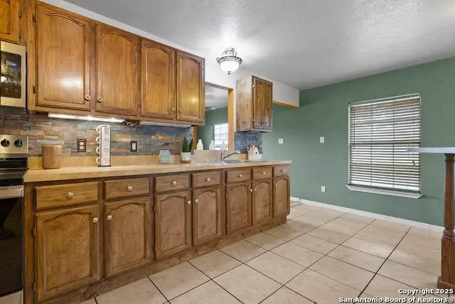 16097 Trawalter Rd, Atascosa, TX 78002 - Image #3