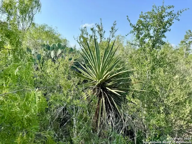 0 Cameron Ln, Fowlerton, TX 78021 - Image #2