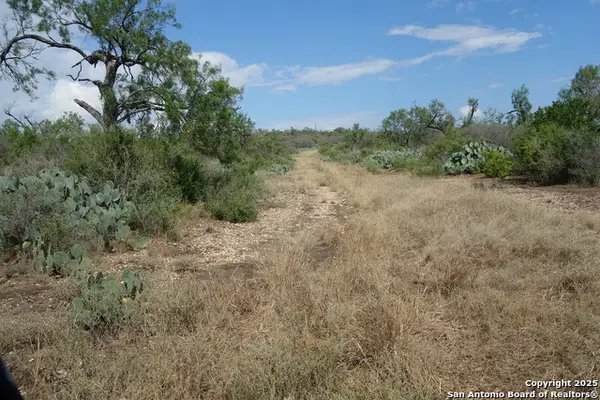 TBD 1343, Castroville, TX 78009