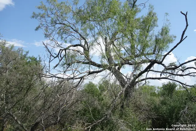 TBD 1343, Castroville, TX 78009 - Image #2