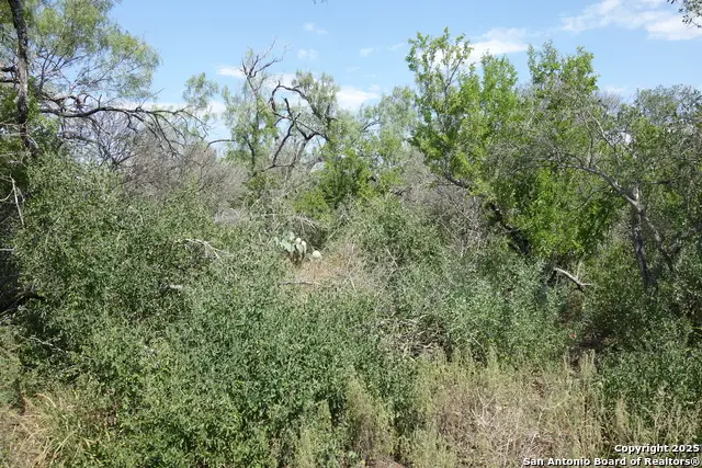 TBD 1343, Castroville, TX 78009 - Image #3