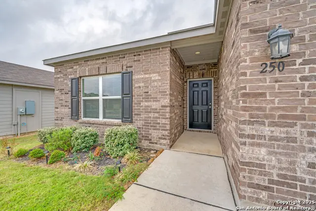 250 Landing Lane, New Braunfels, TX 78130 - Image #3