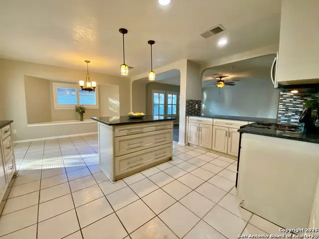 11018 Scenic Pt., San Antonio, TX 78254 - Image #2
