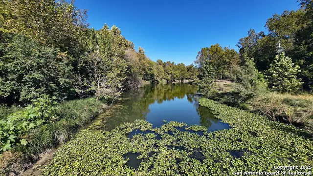 10485 Fm 466, Seguin, TX 78155 - Image #2