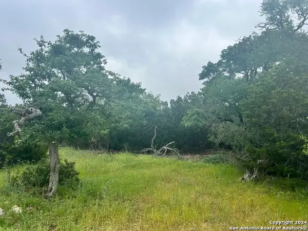 512 Lasso, Canyon Lake, TX 78133