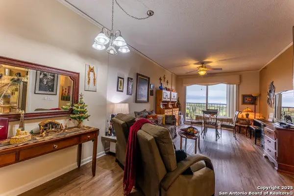 1 NE Towers Park Lane #701, San Antonio, TX 78209