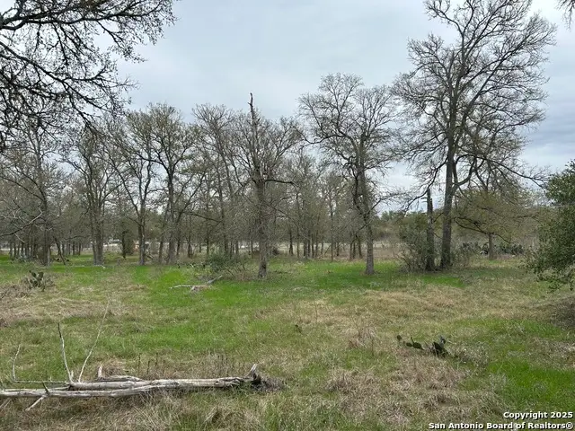 141 N Eskew Lane, Cedar Creek, TX 78612 - Image #1