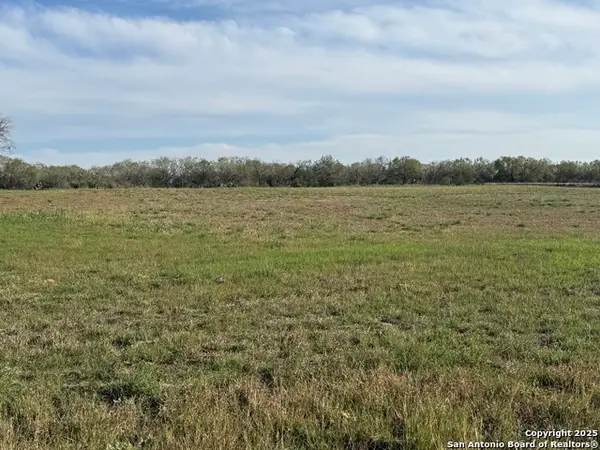 13208 Adkins Saint Hedwig Rd, St.Hedwig, TX 78152