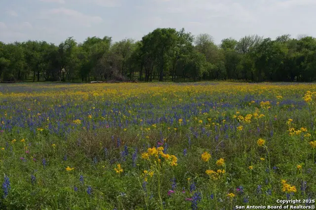 1527 County Road 412, Stockdale, TX 78160 - Image #1