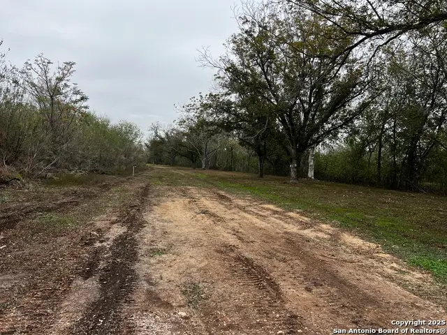 304 County Rd 6611 Tract #1, Devine, TX 78016 - Image #3