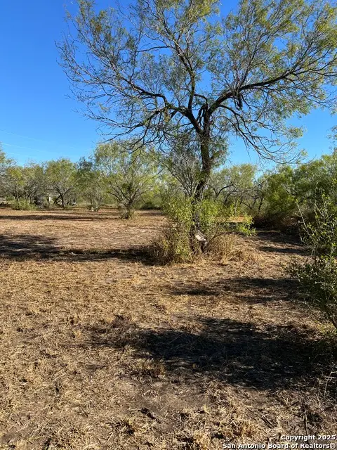 00 Mesquite And Mulberry, Jourdanton, TX 78026