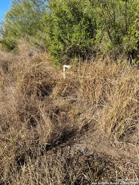 00 Mesquite And Mulberry, Jourdanton, TX 78026 - Image #3