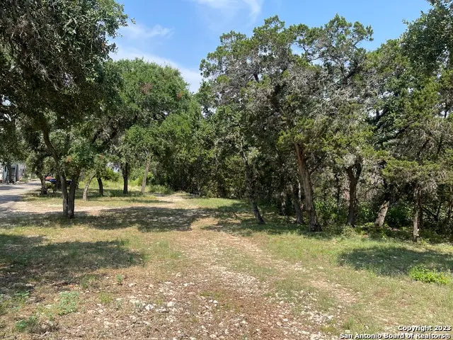 2184 Lakeshore, Canyon Lake, TX 78133 - Image #3