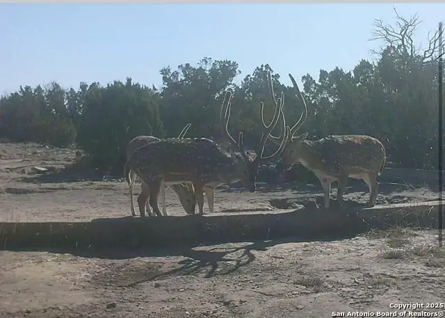 000 Sd 45340, Rocksprings, TX 78880 - Image #1