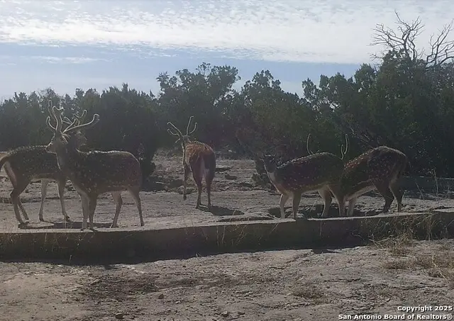 000 Sd 45340, Rocksprings, TX 78880 - Image #2