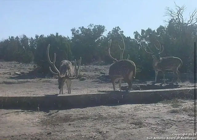 000 Sd 45340, Rocksprings, TX 78880 - Image #3