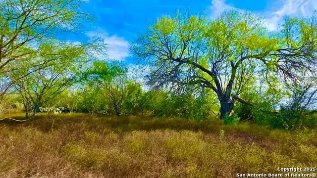 0 County Road 107, Runge, TX 78151 - Image #1